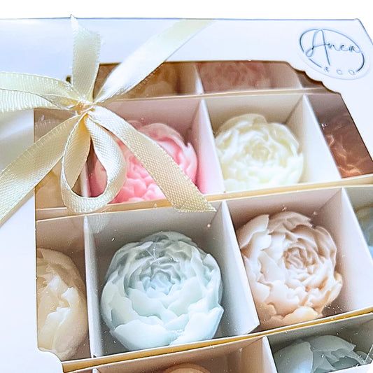 PEONIES WAX MELTS GIFT BOX