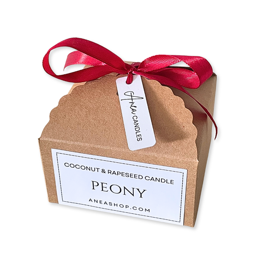Coconut and rapeseed candle in a brown box with a red ribbon and 'Peony' label.PEONY CHRISTMAS SPICE CANDLE