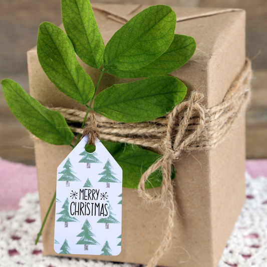 Gift box wrapped in brown paper with a green leaf branch and a 'Merry Christmas' tag.Trees Christmas Gift Tag Set