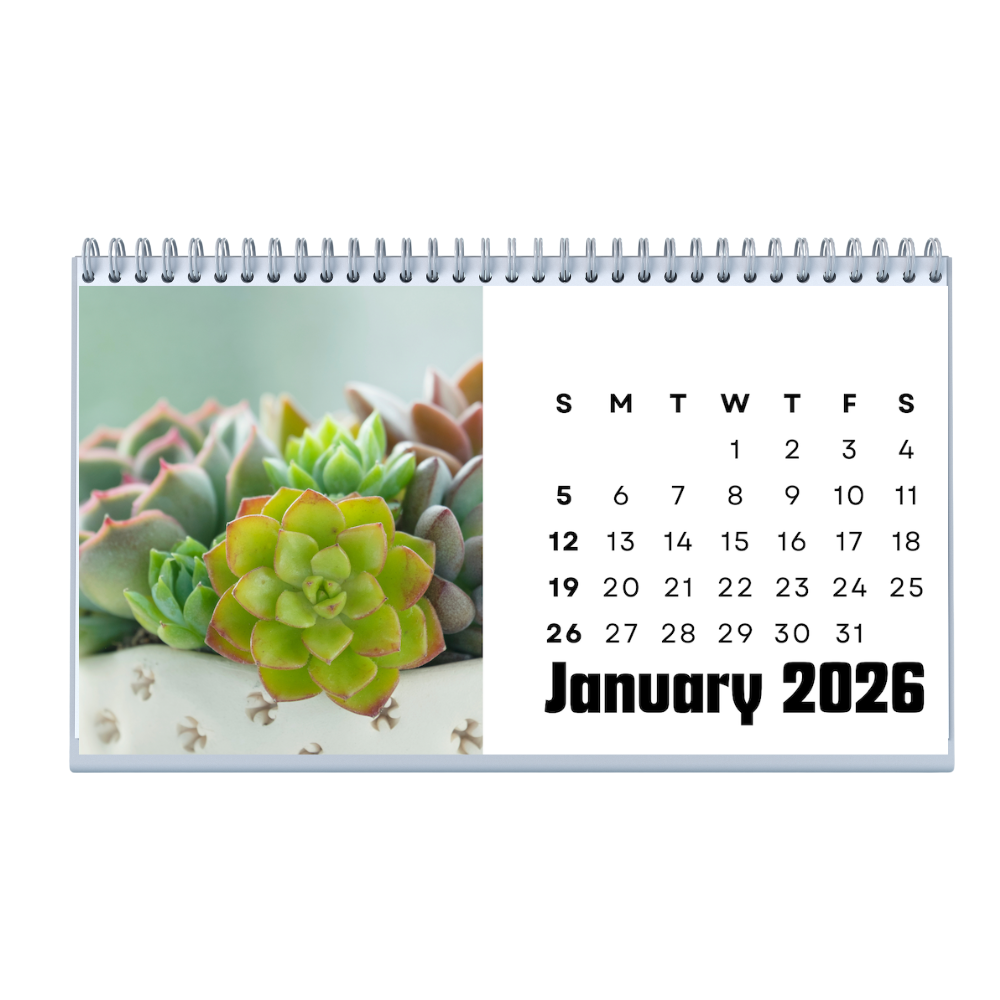 Succulent Office Desk Calendar 2026