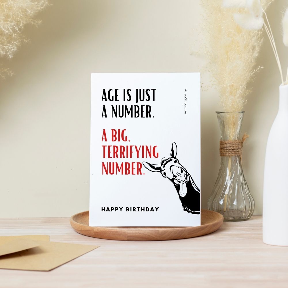 Age is Just A Number ... Rude Funny Birthday Card