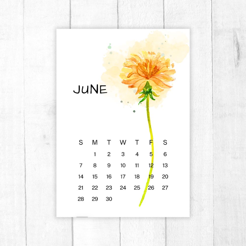 Beautiful Floral Design Wall Calendar 2026