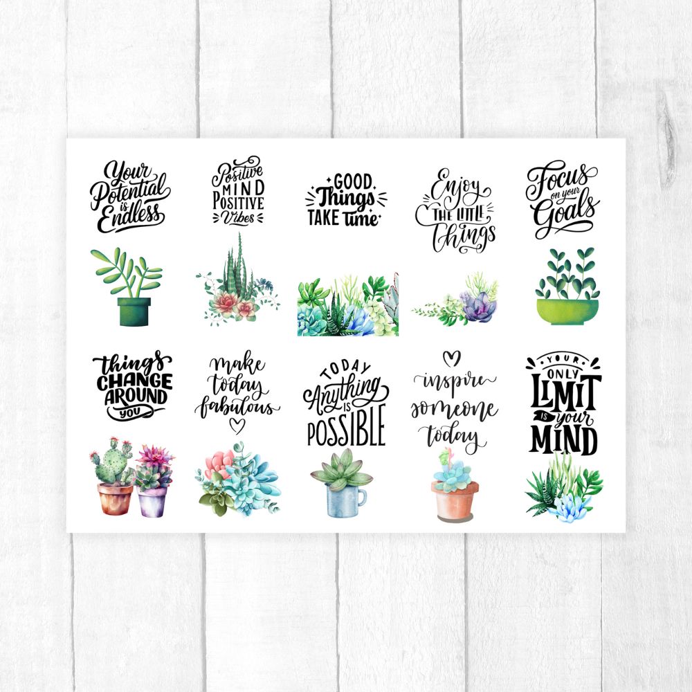 Sticker Club July 2025 Subscription Plan – ANEA’s monthly set featuring themed sticker designs in various sizes and finishes.