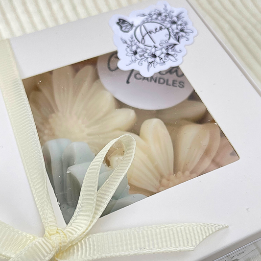 Gift box with shell-shaped candles and a decorative tag on a white background. DAISY WAX MELTS GIFT BOX