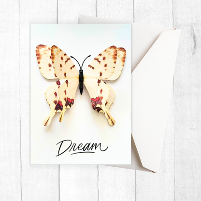 Greeting card with a butterfly design and the word 'Dream' on a white background. Dream 3D Greeting Card