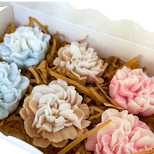 WILD CHRYSANTHEMUM WAX MELTS GIFT BOX